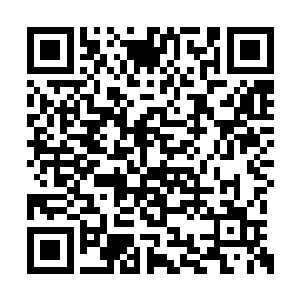 星界的天地法则也无法修补那些魔窟存在的地方二维码生成