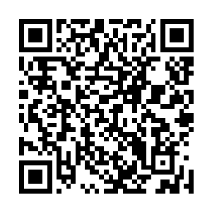 星盗盟旗舰之上的各个星盗团团长的眉头都不约而同的一皱二维码生成