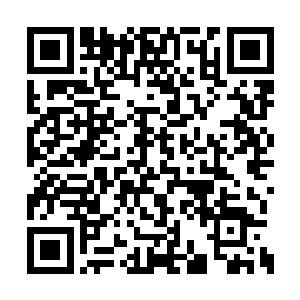 星移斗转神禁擅长构筑阵法和挪移反弹法术攻击二维码生成