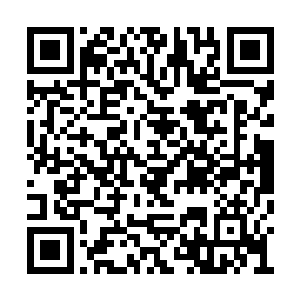 星空里有一小部分修士知道我和晋鹏界主有过结二维码生成