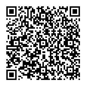 星网上关于是否应该开放机器人的驾驶权限与提高驾驶执照考试要求中展开了一场盛大的辩论二维码生成