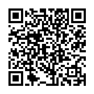 星舰的主控晶脑自动分配给她更多浮游炮台的控制权限二维码生成