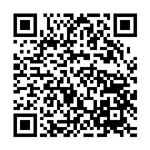 星辰老祖和雷兽两个人的脸上顿时也露出了一抹无比兴奋的神情二维码生成