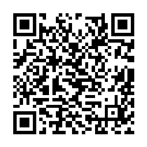 星辰老祖在被龙傲天放出来之后也是微微愣了一下二维码生成