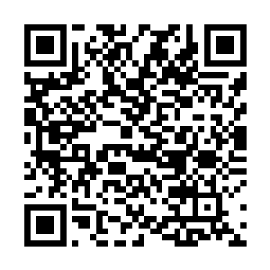 星风看着注意力尽数聚集在麟龙威凤四人身上的水菲菲二维码生成