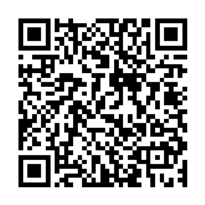 映入他们眼帘的是一个警员和一个三十多岁的师奶相互拉扯着二维码生成