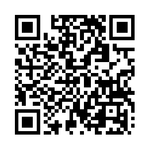 映入我眼帘的是一个让大白熊给砸晕了的二维码生成