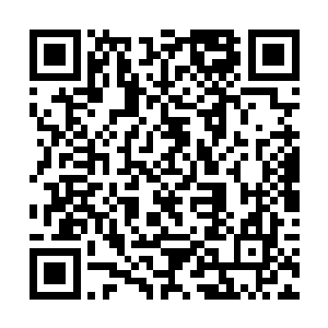 映入眼帘的只有一汪混浊发黑的水外加一堆堆的淤泥二维码生成