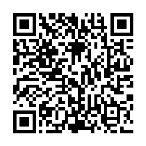 映入这个经历过世间沧桑变故的老和尚的充满慧智的双眼里二维码生成