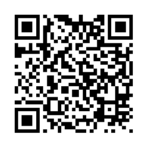 映出一副比花儿还要娇嫩的容颜来二维码生成