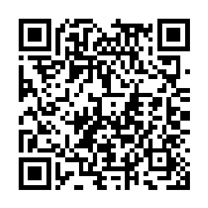 映月楼的精神力浓厚程度可以和景初的蛋相媲美了二维码生成