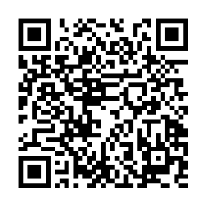 映照出时空断层中两点细小的青光……放大了看去二维码生成