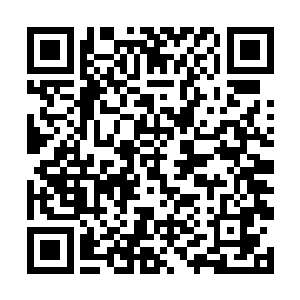 映衬着叶妩极致妩媚的容颜以及眉心间绝艳的牡丹妆二维码生成