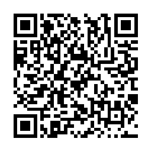 春三十娘的攻击力也会达到了一个令人恐怖的境界二维码生成