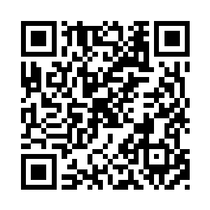 春兰和夏菊你们两个人给我和商蕊去祖母那里二维码生成