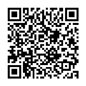 春兰清晰地看到了谢芳华脖子上有一道细微的手指划出的红痕二维码生成