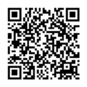 春兰虽然很想跟着去不过最后还是点了点头答应她留下来二维码生成
