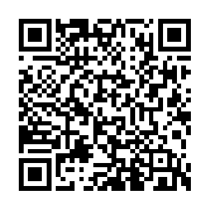 春十三娘倦怠又慵懒一般得依靠在柔软的毛毯上二维码生成