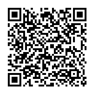 春季赛看比赛时陈诚就知道lcd的这个打野是个风格非常激进的家伙二维码生成