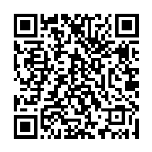 春晚的主持人都出来报幕预备着和全国观众一起跨年二维码生成
