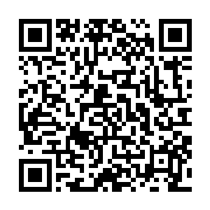 春秋老将杨慎杏作为逐渐被北凉边军接纳的一道副节度使二维码生成
