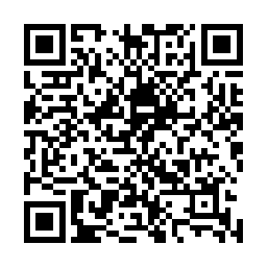 春风得意的吴家和杜家的涉案人员纷纷被纪检工作人员带走二维码生成