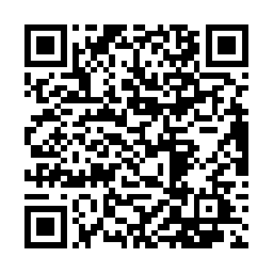 昨儿陆大人宁可牺牲锦衣卫也不愿老爷有半分的危险二维码生成