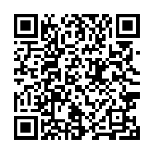 昨夜教宗陛下才向整个大陆正式宣布他便是国教的继承者二维码生成