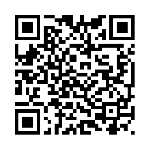 昨夜终于顶不住趴在键盘上睡着了二维码生成