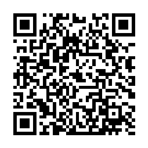 昨夜那双无数次让她身上染火的大掌上端了一个托盘二维码生成