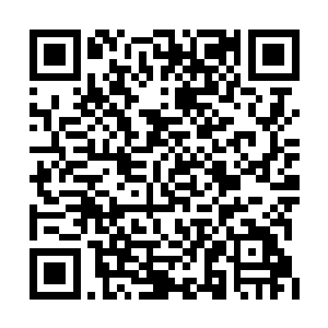 昨天一夜他就坐在张生所居的偏院的一个树墩上二维码生成