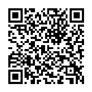 昨天前后拥簇的谢家以及彭水县调集的兵勇侍卫呢二维码生成