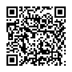昨天可是差点就要跟韩家二少和吴家大少一样去牢房里蹲着二维码生成