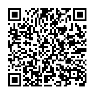 昨天哥哥带来的牛肉罐头吃剩下的那一点牛肉中午的时候自己舍不得吃二维码生成