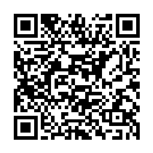 昨天在奚荣赌石铺里见证过萧摇和石芸赌局的人不少二维码生成