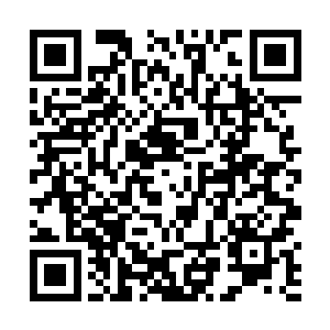 昨天夏云杰不过只是无意中发现光头强财帛宫财气冲天二维码生成