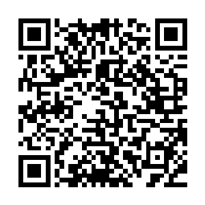 昨天学校对部分学生鼓动全体小学生罢食罢课进行通报批评之后二维码生成