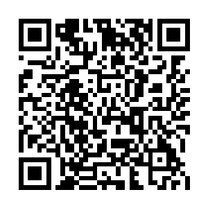 昨天我听到江帆说了他要打败去年前十名的学员二维码生成