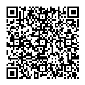 昨天才送走了女友刚准备投入到自己的研究之中的贝海不得不把东西都一股脑的弄进空间里二维码生成