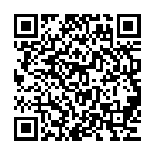 昨天晚上他们在安全堡垒里面倒是挺逍遥自在的二维码生成