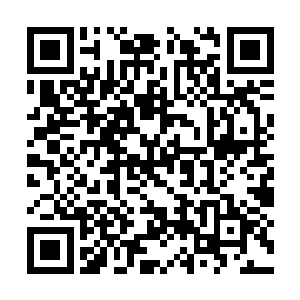 昨天晚上是跟着罗卿卿坐她们公司的班车来酒店的二维码生成