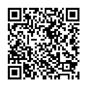 昨天晚上菲利普王子亲自去机场迎接华夏国中医代表团二维码生成