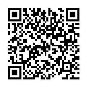 昨天更新那么少竟然还赏给辣椒那么多粉红和打赏二维码生成