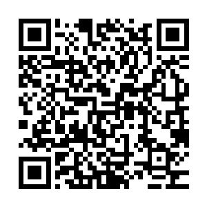 昨天负责指导我们彩排的一个老师看到我们立刻朝我们走了过来二维码生成