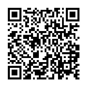 昨天还一片萧瑟的大地现在被鹅毛一般的雪花给覆盖住二维码生成