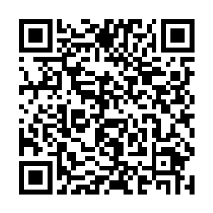 昨天还一脸信誓旦旦地说要靠自己的努力考上大学的二维码生成