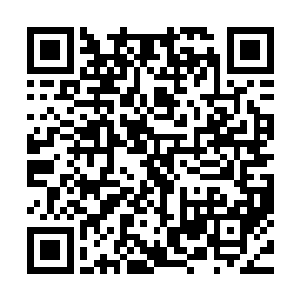 昨天还蔫头耷了脑的两个小家伙此时正上蹿下跳的高兴的撒欢二维码生成