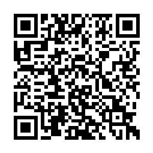 昨天那公孙先生扔出一把火把自己袖子给烧掉了二维码生成