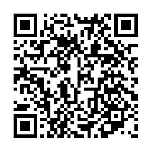 昨天青云和六七个人采到的草药可比平时多不少二维码生成