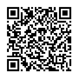 昨日苏重山和苏沛泽去了皇宫专程叩谢皇帝派兵相助二维码生成